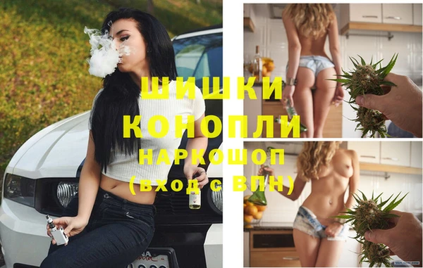 винт Балахна