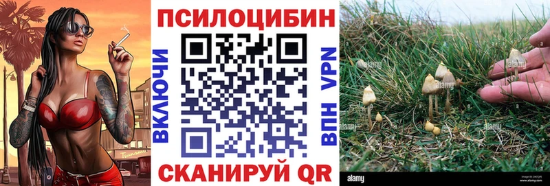 blacksprut зеркало Богородицк Галлюциногенные грибы Magic Shrooms купить наркоту